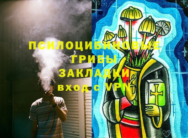 мдпв Богданович