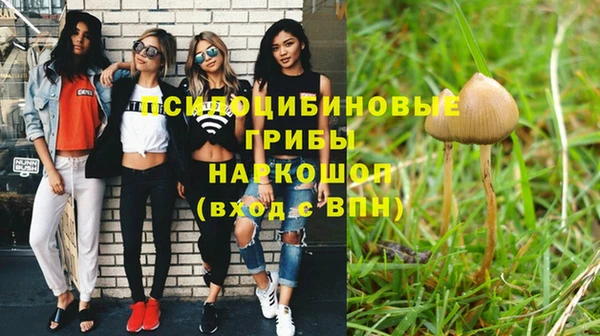 метадон Богородск
